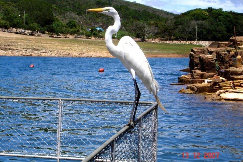 Pousada Araras Lago De Furnas Sao Jose da Barra Esterno foto